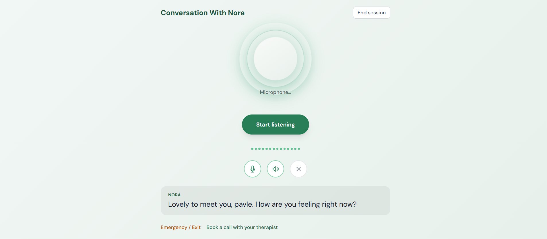 Nora - prikaz projekta